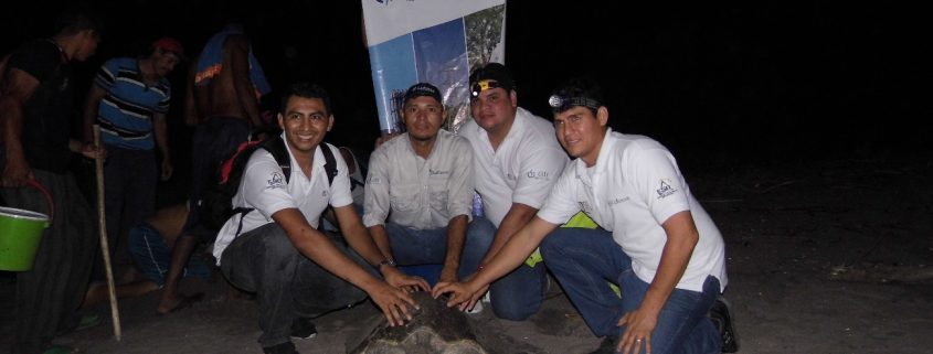Voluntarios de Lufussa con una de las tortugas golfinas de las que en gran cantidad llegan a desovar en las playas del Golfo de Fonseca